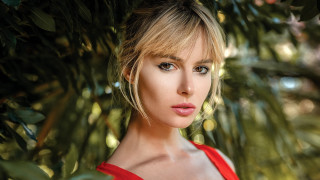 Woman red dress tree portrait 2 - a bun free wallpaper for desktop