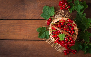 Berry basket green leaves wooden - a green leafy plant free wallpaper for desktop