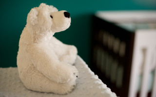 Polar bear stuffed bed room - a bed in a room free wallpaper