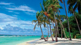 Beach palm trees blue sky 28 - a few wave free wallpaper