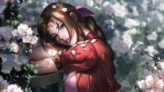 Girl red jacket flower field - octopath traveler free wallpaper