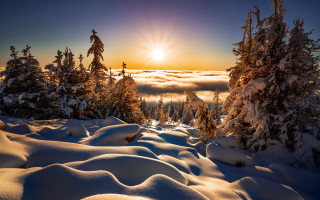 Snowy landscape trees clouds sunset - sun free wallpaper