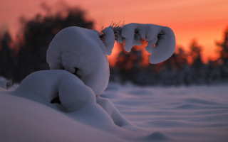 Snowy animal fire breath dusk - a surrealist sculpture free wallpaper