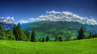 Green field trees mountains lake 5 - the background and a lake in the foreground free wallpaper