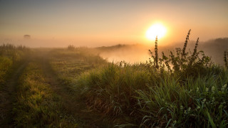 Foggy sunrise grassy trail lake - a trail free wallpaper for desktop