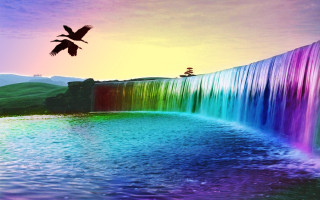 Bird flying waterfall rainbow background - a bird free wallpaper for desktop