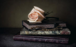 Rose stack books table bag - a rose free wallpaper