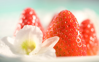 Strawberries flower water droplets blue - delaunay free wallpaper for desktop
