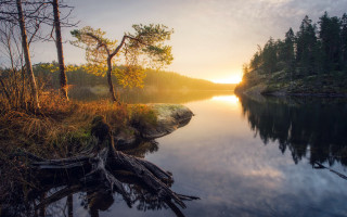 Lake tree stump sunset clouds - a lake free wallpaper