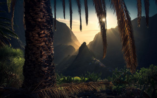 Palm tree sunset mountains landscape - cinematic landscape free wallpaper for desktop