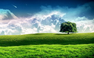 Lone tree grassy hill shooting - shooting free wallpaper