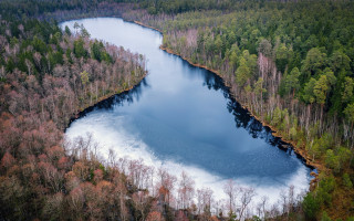 Frozen lake forest ice nature - the middle of a forest area free wallpaper