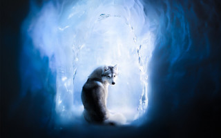 Wolf icecave light fantasy airbrush - fantasy artwork free wallpaper