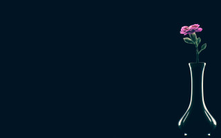 Flower vase reflection minimalism monochrome - single free wallpaper for desktop