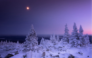 Full moon snowy landscape forest - distant free wallpaper