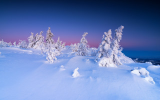 Snowy dusk pink sky blue - a blue sky in the foreground free wallpaper