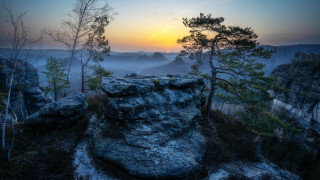 Sunset rocky cliff trees fog - a few rock free wallpaper