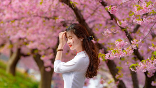 Woman white shirt pink blossoms - chen jiru free wallpaper