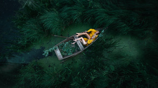 Woman yellow dress boat green - a yellow dress free wallpaper