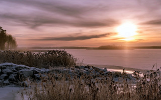 Sunset lake snow shore trees 2 - flora macdonald reid free wallpaper