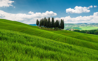 Green field trees blue sky 7 - correggio free wallpaper for desktop