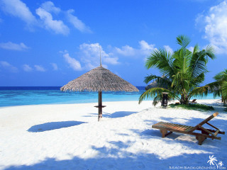 Beach thatched umbrella bench sand - beach free wallpaper for desktop