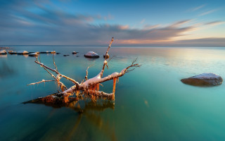 Impressionist tree water rocks sky - photograph free wallpaper for desktop