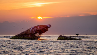 Sunset boat island birds ocean - a small island in the ocean free wallpaper