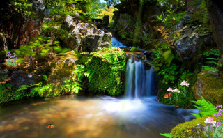 Waterfall lush forest flowers plants - nature free wallpaper