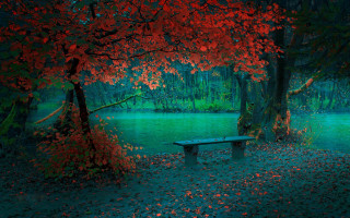 Forest lake red leaves magic - moody free wallpaper