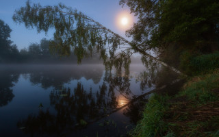 Foggy river tree lamp moon - moonlight free wallpaper