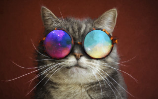 Cat sunglasses psychedelic reflection red - a pop art painting free wallpaper