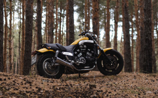 Motorcycle forest panfuturism tiltshift blurry - anamorphic free wallpaper