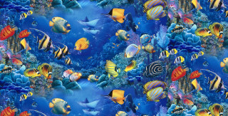 Colorful fish corals blue water - damien hirst free wallpaper