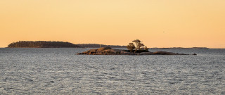 Small island lone tree sunset - a small island in the middle of a body free wallpaper