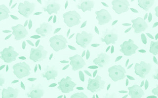 White green flower leaves pastel - green background free wallpaper for desktop