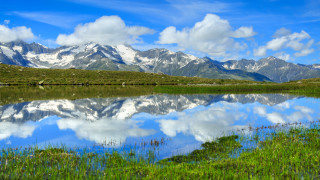 Mountain lake reflection grass flowers - bernard meninsky free wallpaper
