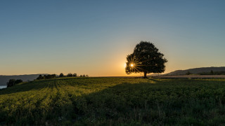 Sunset tree hill lake reflection - a hill in the background free wallpaper
