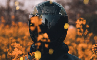 Helmet flower field autumn blurry - a blurry background of trees and bushes free wallpaper for desktop