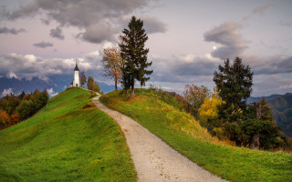 Church hill path forest clouds - a forest in the background free wallpaper for desktop