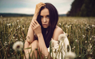 Woman sitting dandelion field blurry - anka zhuravleva free wallpaper