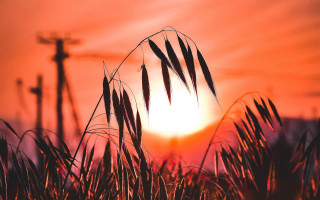 Sunset cross grass ceremony bernd - cinematic photography free wallpaper for desktop