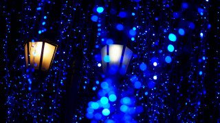 Streetlight blue lights tree glow - a street light free wallpaper