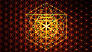 Golden flower life circles stars - buckminster fuller free wallpaper for desktop