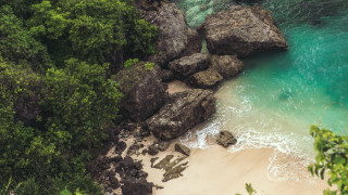 Beach rock formation water trees 3 - the shore of the beach free wallpaper