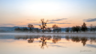 Lake foggy sky trees sunset - a few cloud free wallpaper for desktop