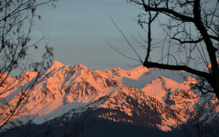 Mountain range autumn leaves forest - a distance free wallpaper