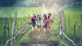 Three women basket water forest - three woman free wallpaper