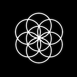 White flower black background white - altichiero free wallpaper for tablet