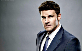 Man suit tie serious pose 5 - his face and shoulders free wallpaper